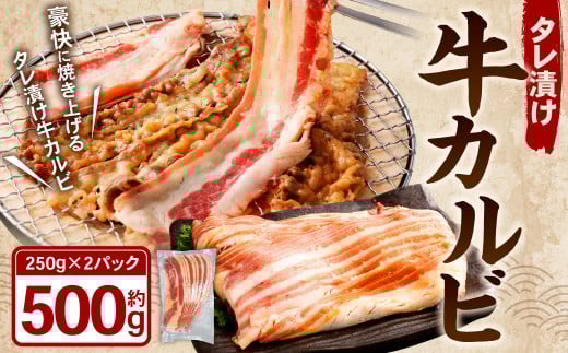 タレ漬け 牛カルビ 250g×2パック （計500g） 牛肉 牛 お肉 肉 たれ タレ カルビ 焼き肉 焼肉 小分け 冷凍