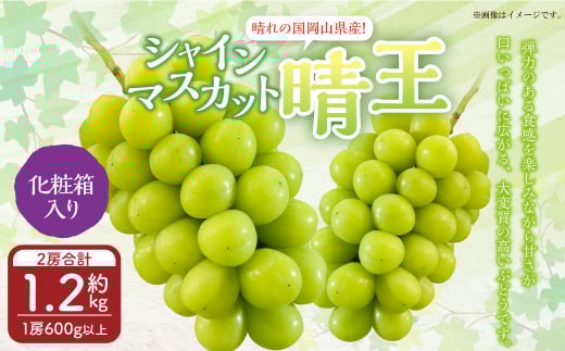 岡山県産 シャインマスカット 『晴王』 2房 （1房600g以上） 化粧箱入り 【2026年8月下旬～10月上旬迄発送予定】 果物 くだもの フルーツ ぶどう ブドウ 葡萄 マスカット 岡山 おかやま 国産 冷蔵