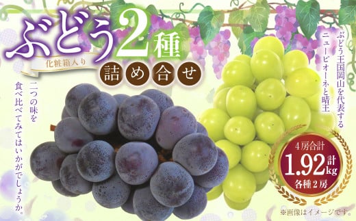 詰合 ニューピオーネ 2房 シャインマスカット 晴王 2房（1房各480g以上）計1.92kg以上 化粧箱入り 【2026年9月上旬～10月上旬迄発送予定】 ぶどう ブドウ 葡萄 マスカット ピオーネ 種なし 果物 くだもの フルーツ セット 冷蔵 国産
