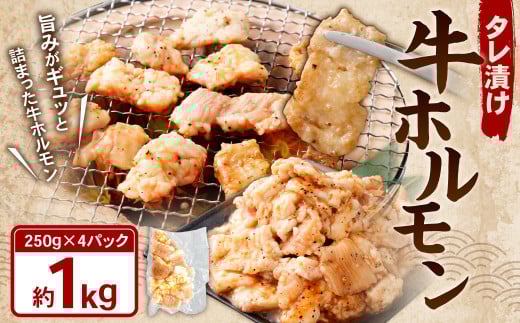 タレ漬け 牛ホルモン 1.0kg （250g×4パック） 牛肉 牛 お肉 肉 たれ タレ ホルモン 焼き肉 焼肉 小分け 冷凍