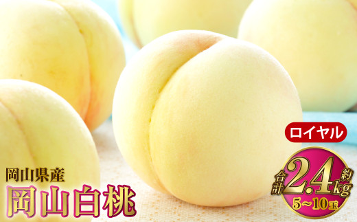 岡山白桃 ロイヤル 5～10玉 約2.4kg 岡山県産【2026年7月上旬～8月下旬発送予定】 白桃 桃 もも モモ