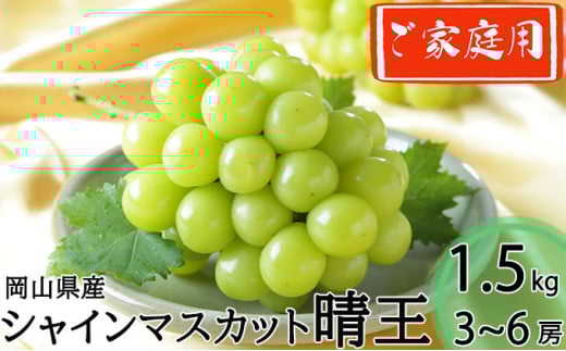 ご家庭用 シャインマスカット 晴王 3～6房 計約1.5kg 【2026年8月下旬～11月下旬迄発送】 岡山 種無し 種なし マスカット 果物 くだもの フルーツ ぶどう ブドウ 葡萄 冷蔵