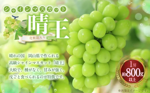 シャインマスカット 晴王 1房（800g以上） 化粧箱入り 【2026年8月下旬～11月上旬迄発送予定】 ぶどう ブドウ 葡萄 マスカット 種なし 果物 くだもの フルーツ 冷蔵 国産