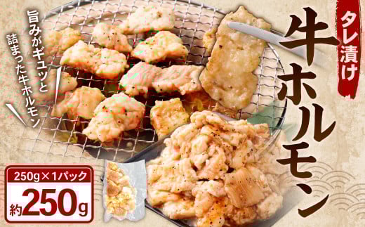 タレ漬け 牛ホルモン 計250g