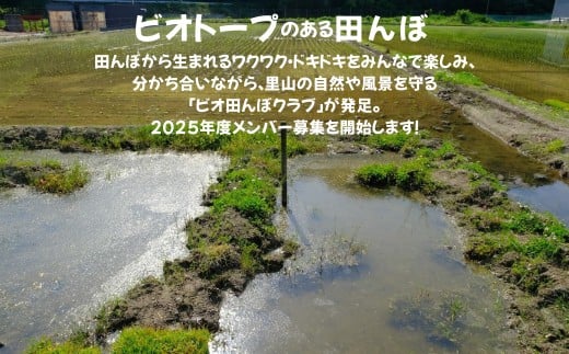 ビオ田んぼクラブ 年会費 A-cz-A03A