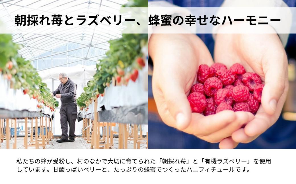 こびとジャム 3種セット(苺ラズベリー＆贅沢バナナショコラ＆クラシックマンゴー） A-MM-A28A