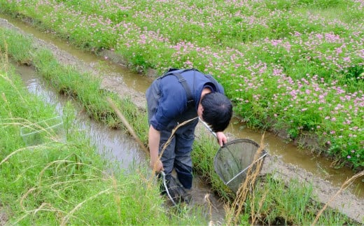 うなつぐ サポート会員（一口3,000円分） 年間会員証 A-cz-A01A