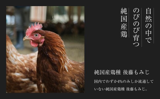 【全3回定期便】平飼い有精卵 省資源トレー 60個 《西粟倉村》【株式会社点々】t-SS-BrDA