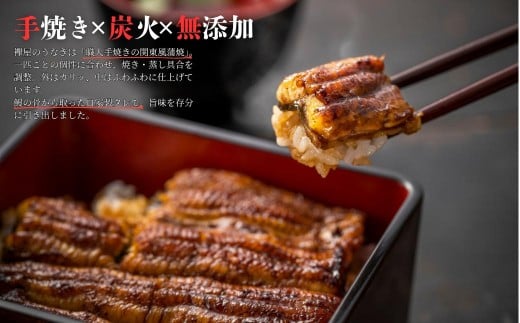 【限定価格】襷屋 国産うなぎ 炭火 手焼き蒲焼 ハーフサイズ 8パック(480g以上) A-AA-A42P