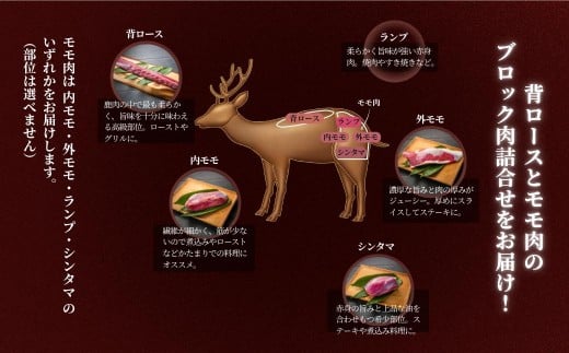 森のジビエ 鹿肉 ブロック おまかせ詰合せ700g以上 A-JJ-A15A