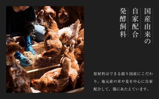 平飼い有精卵 省資源トレー 60個《西粟倉村》【株式会社点々】t-SS-ArDA