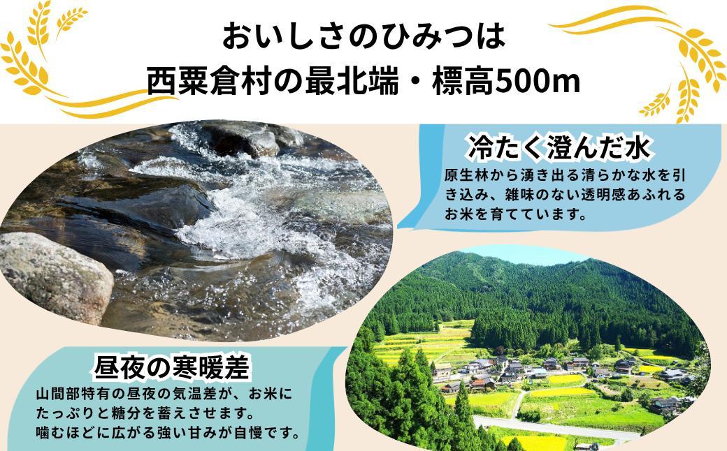 《先行予約 2026年10月発送》【3回定期便】白米 5kg 令和8年産 コシヒカリ 岡山 「おおがや 芝桜米」 G-af-BFCA
