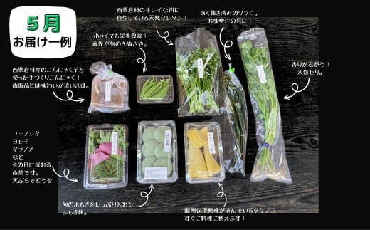 西粟倉産「旬の野菜 おまかせセット」 F-FF-A00A