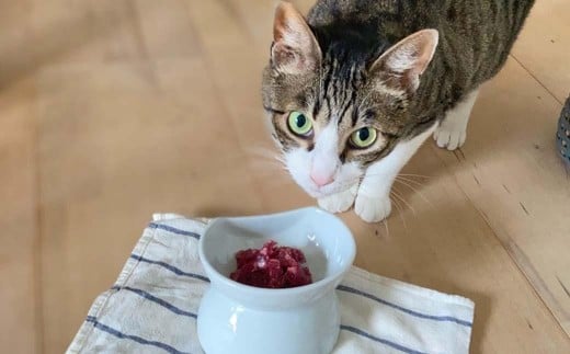 森のジビエ for PET 鹿肉ミンチ(小分けパック) 1kg ペットフード 犬 猫 A-JK-A08A