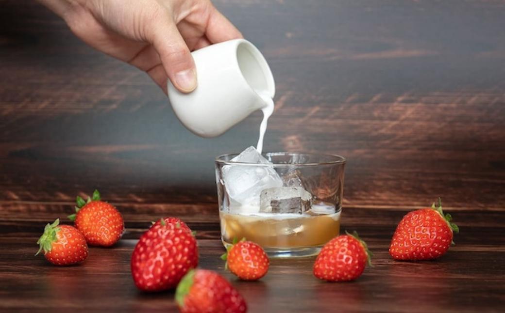 【ギフト包装】wafu いちごミード（蜂蜜のお酒） A-MR-A04A