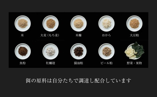 平飼い有精卵 30個《西粟倉村》【株式会社点々】t-SS-AnDA