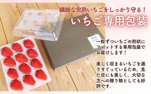 西粟倉村 完熟いちご 贈答用 400g M-FI-A15A