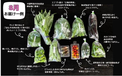 【12回定期便】＜毎月届く＞定期便 西粟倉産 「旬の野菜 おまかせセット」 F-FF-D00A