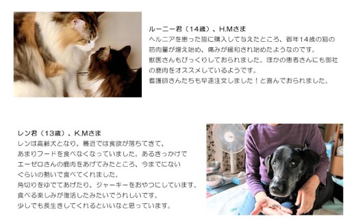 森のジビエ for PET 鹿肉　カット＆ミンチ2kg A-JK-A11H