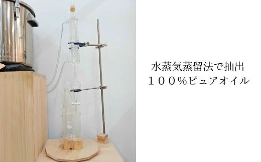 西粟倉の森のエッセンシャルオイル 2種【ヒノキの木】【ヒノキの葉】＆香り木セット M-ms-A47A