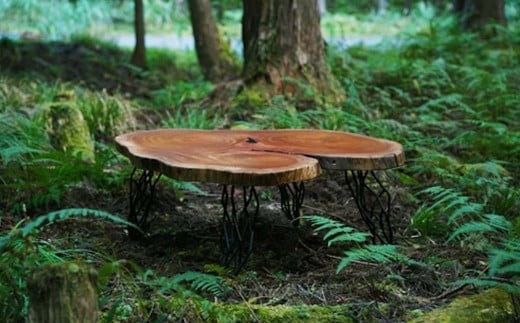 ケヤキのセンターテーブル(一点もの) E-mo-A15A