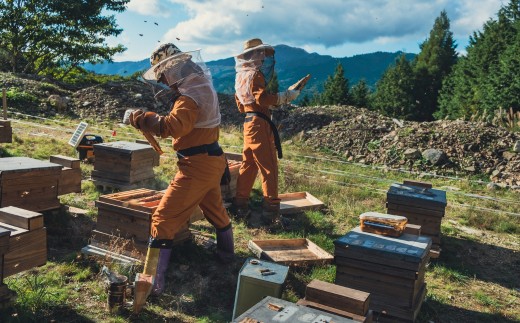 wafu レモンミード（蜂蜜のお酒） A-MR-A01A