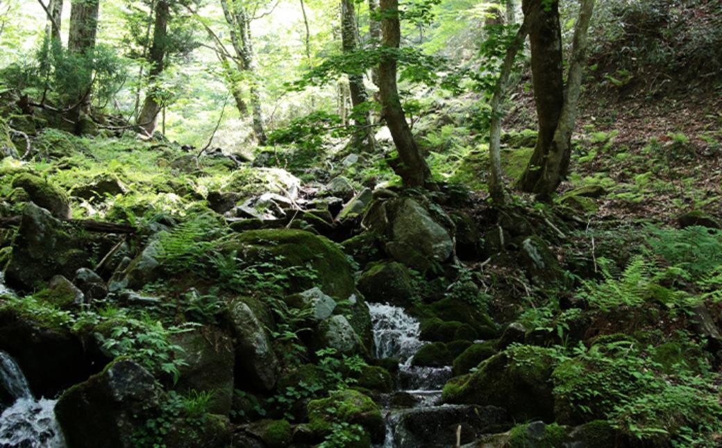 【令和8年産新米・先行予約】あわくら源流米 あきたこまち白米 5kg｜西粟倉村産・昼夜寒暖差が育む甘み｜ふるさと納税 K-bf-AFZA