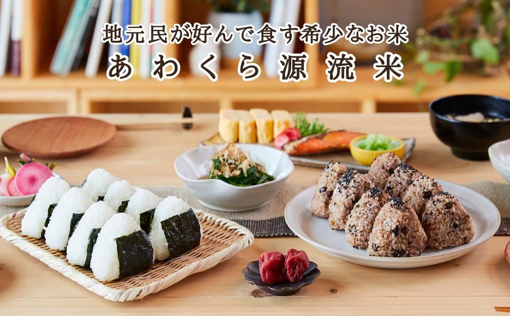 【令和8年産新米・先行予約】【3回定期便】あわくら源流米 コシヒカリ 白米 10kg｜西粟倉村産・昼夜寒暖差が育む甘み｜ふるさと納税 K-ag-BFZA