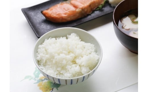 【令和7年産】あわくら源流米 あきたこまち白米 10kg｜西粟倉村産・昼夜寒暖差が育む甘み｜ふるさと納税 K-bg-AEJA