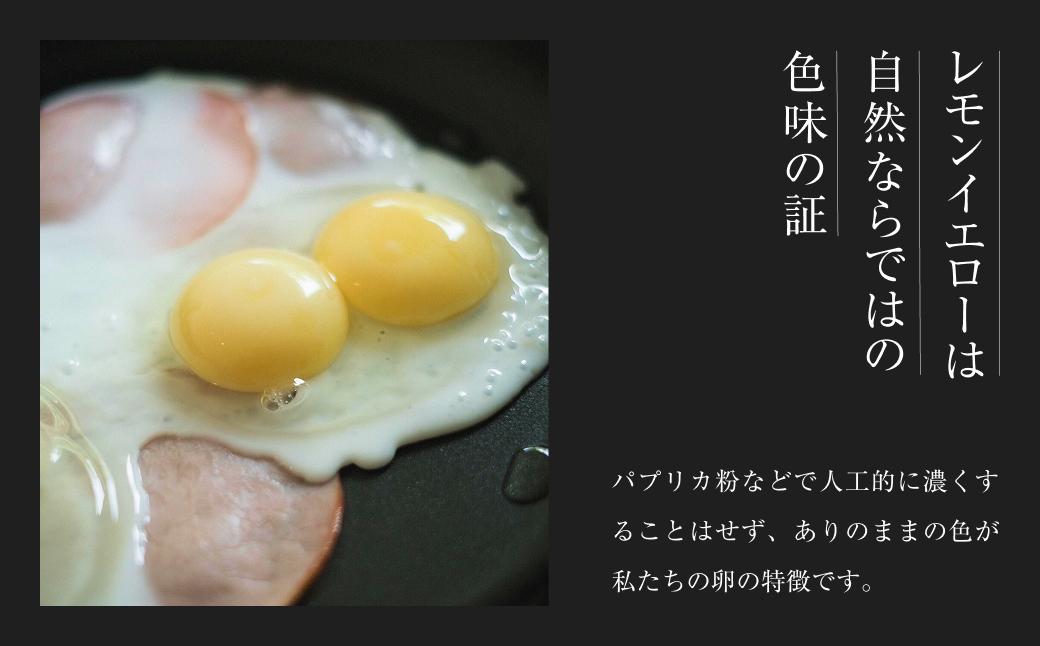 平飼い有精卵 40個《西粟倉村》【株式会社点々】t-SS-AoDA