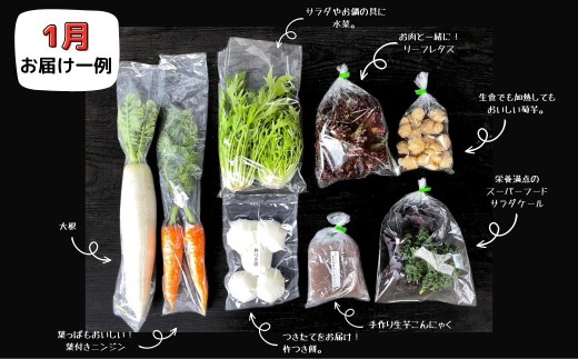 西粟倉産「旬の野菜 おまかせセット」 F-FF-A00A