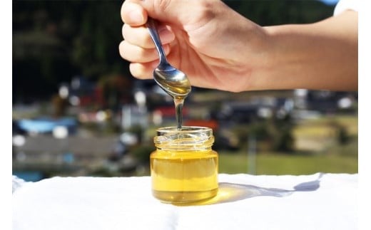 グラノーラ 無添加 国産はちみつ使用【ノラノーラ ミケ&クロ】 ココナッツ・ショコラ 食べ比べセット(100g×2) A-MT-A05A