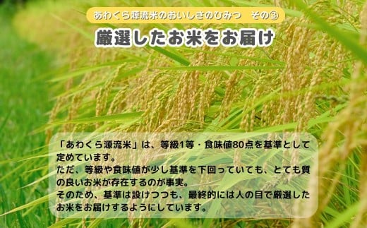 《12月限定特別価格》白米 10kg 令和7年産 コシヒカリ 岡山 あわくら源流米 K-ag-AEHA