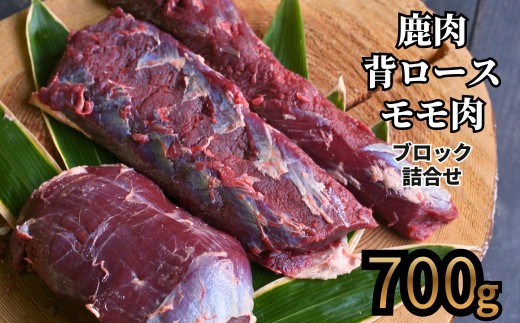 森のジビエ 鹿肉 ブロック おまかせ詰合せ700g以上 A-JJ-A15A