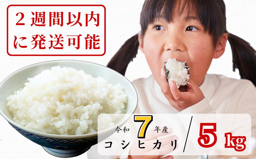 【令和7年産】あわくら源流米 コシヒカリ白米 5kg｜西粟倉村産・昼夜寒暖差が育む甘み｜ふるさと納税 K-af-AEIA