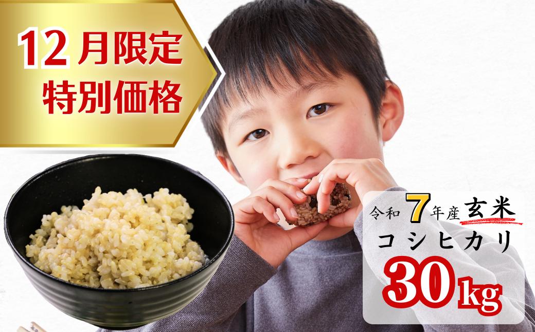 《12月限定特別価格》玄米 30kg 令和7年産 コシヒカリ 岡山 あわくら源流米 K-ad-AEHA