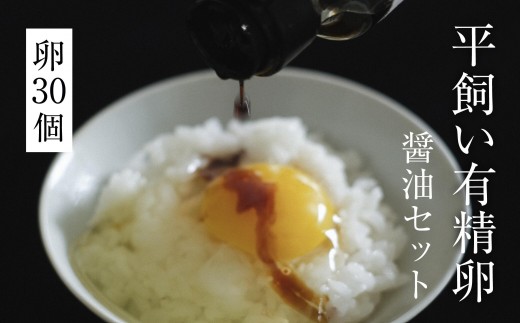 平飼い有精卵 30個＋だし醤油セット《西粟倉村》【株式会社点々】 t-SS-AnEA