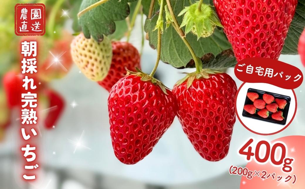 西粟倉村 完熟いちご 自宅用 400g（200ｇ×２）M-FI-A16A