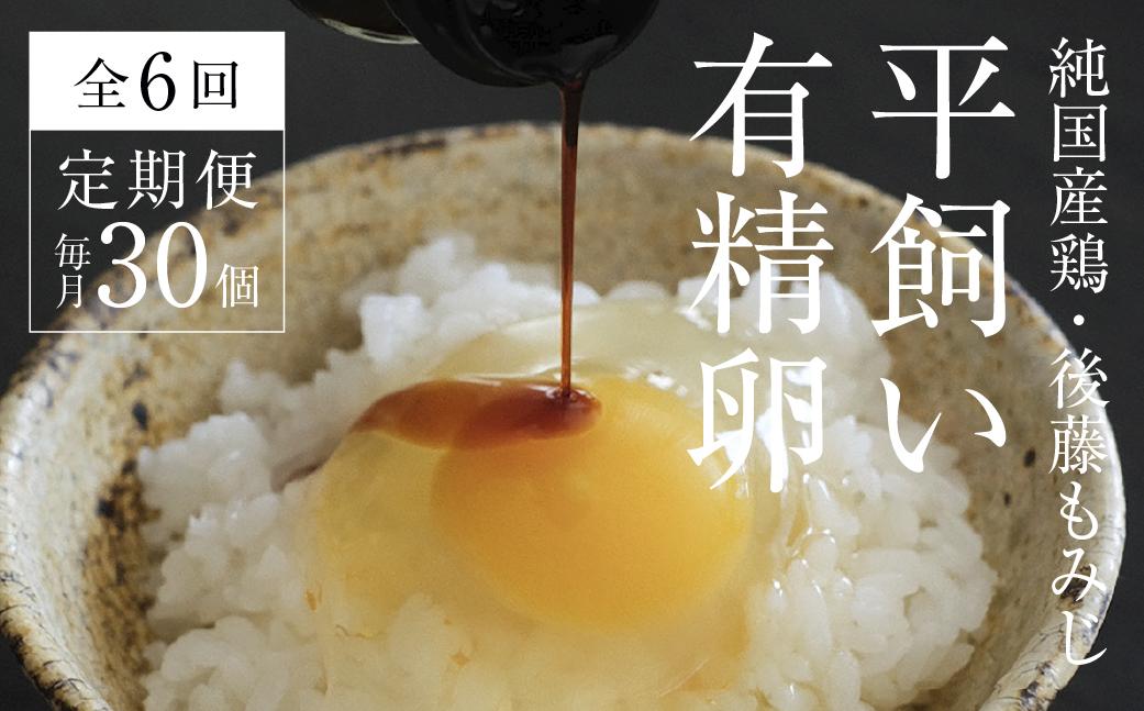 【全6回定期便】平飼い有精卵 30個《西粟倉村》【株式会社点々】t-SS-CnDA