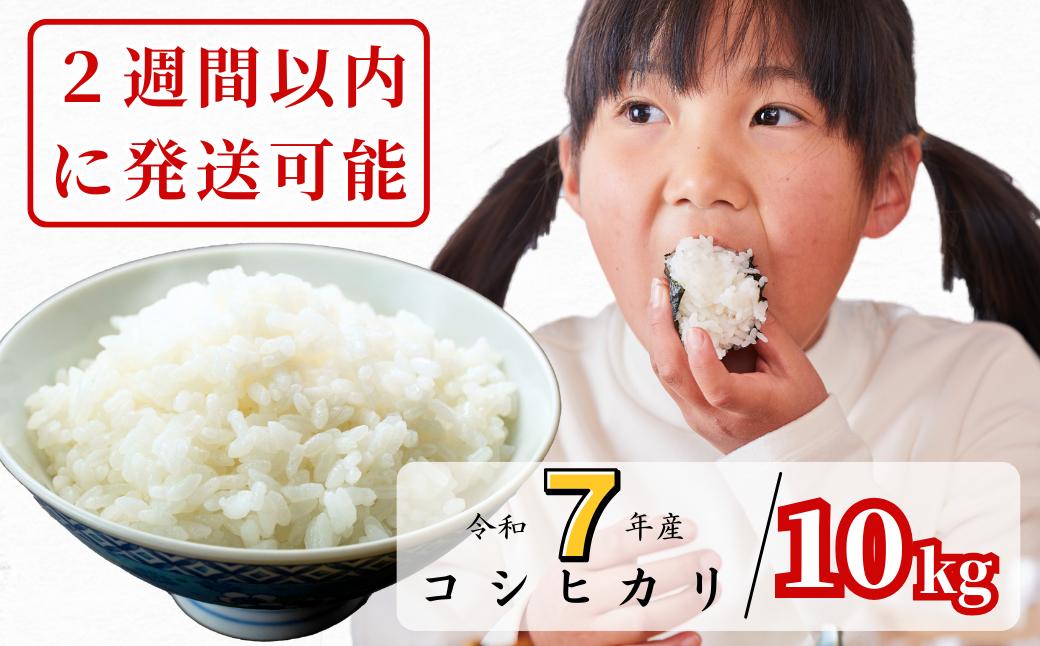 【令和7年産】あわくら源流米 コシヒカリ白米 10kg｜西粟倉村産・昼夜寒暖差が育む甘み｜ふるさと納税 K-ag-AEJA