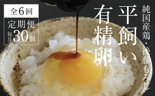 【全6回定期便】平飼い有精卵 30個《西粟倉村》【株式会社点々】t-SS-CnDA