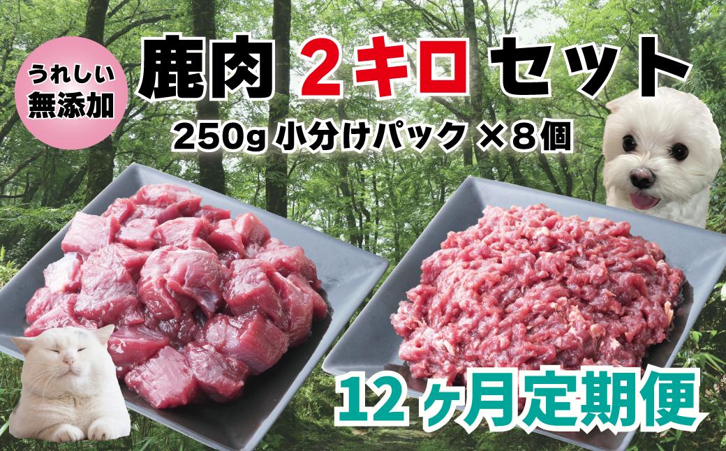 定期便 森のジビエ for PET 鹿肉カット＆ミンチ2kg×12回 A-JK-D02H