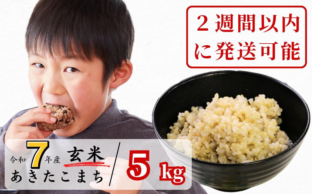 【令和7年産】あわくら源流米 あきたこまち 玄米 5kg｜西粟倉村産・昼夜寒暖差が育む甘み｜ふるさと納税 K-bb-AEJA