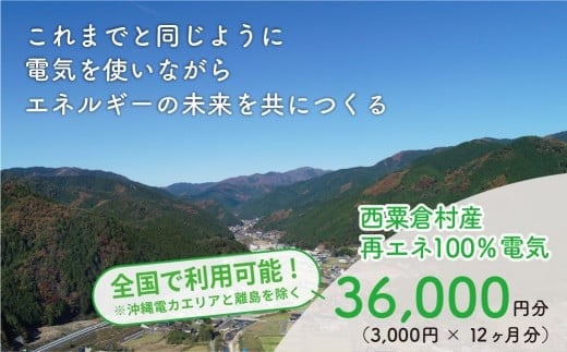 電気料金 （3,000円×12ヶ月分） 百森でんき CO2フリー 地域電力 お礼の電気 脱炭素 ゼロカーボン 岡山県 西粟倉村 【まずは寄付のお申し込みを！】 e-vv-A03D