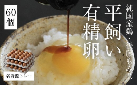 平飼い有精卵 省資源トレー 60個《西粟倉村》【株式会社点々】t-SS-ArDA