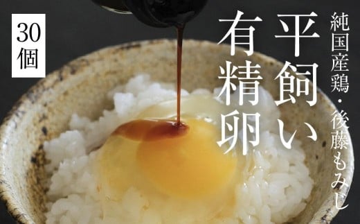 平飼い有精卵 30個《西粟倉村》【株式会社点々】t-SS-AnDA