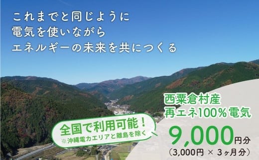 電気料金 （3,000円×3ヶ月分） 百森でんき CO2フリー 地域電力 お礼の電気 脱炭素 ゼロカーボン 岡山県 西粟倉村 【まずは寄付のお申し込みを！】 e-vv-A01D