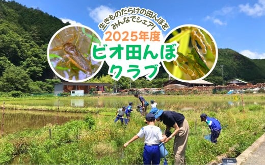 ビオ田んぼクラブ 年会費 A-cz-A03A