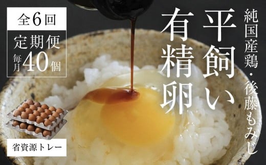 【全6回定期便】平飼い有精卵 省資源トレー 40個 《西粟倉村》【株式会社点々】t-SS-CqDA