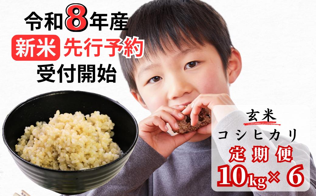 【令和8年産新米・先行予約】【6回定期便】あわくら源流米 コシヒカリ 玄米 10kg｜西粟倉村産・昼夜寒暖差が育む甘み｜ふるさと納税 K-ac-CFZA